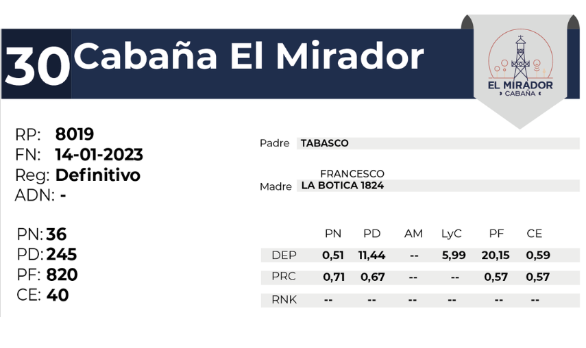 30 EL MIRADOR BRANGUS 8019 - 27 AGOSTO LAS BREÑAS