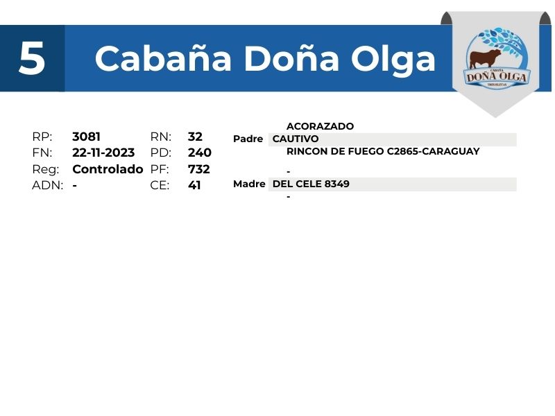 5 DOÑA OLGA 3081 - 9 SEPTIEMBRE FORMOSA