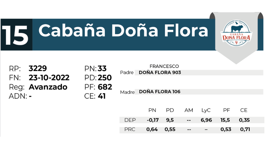 15 DOÑA FLORA 3229 - 27 AGOSTO LAS BREÑAS