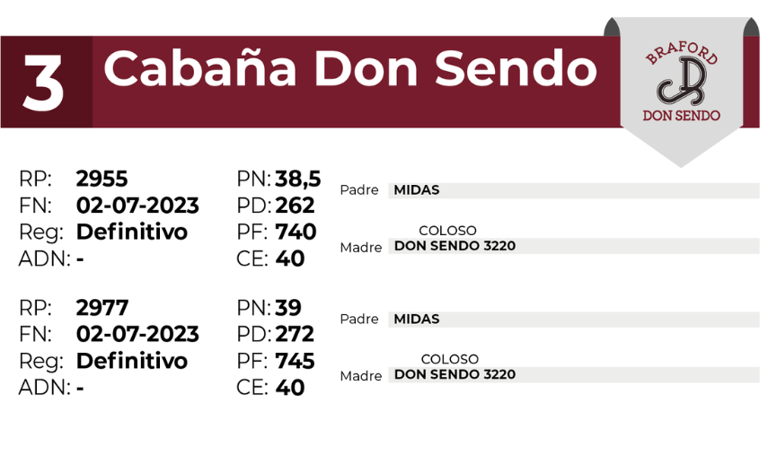 3 DON SENDO 2955 2977 - 27 AGOSTO LAS BREÑAS