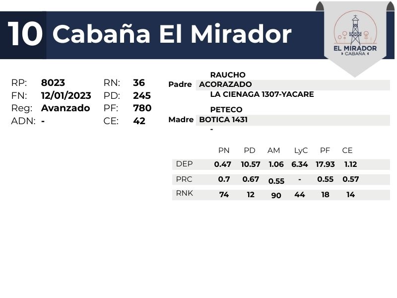 10 EL MIRADOR 8023