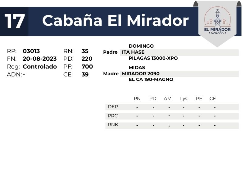 17 EL MIRADOR 03013 - 9 SEPTIEMBRE FORMOSA