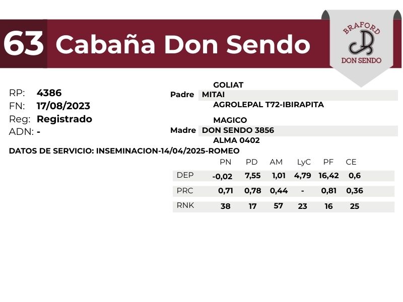 63 DON SENDO 4386