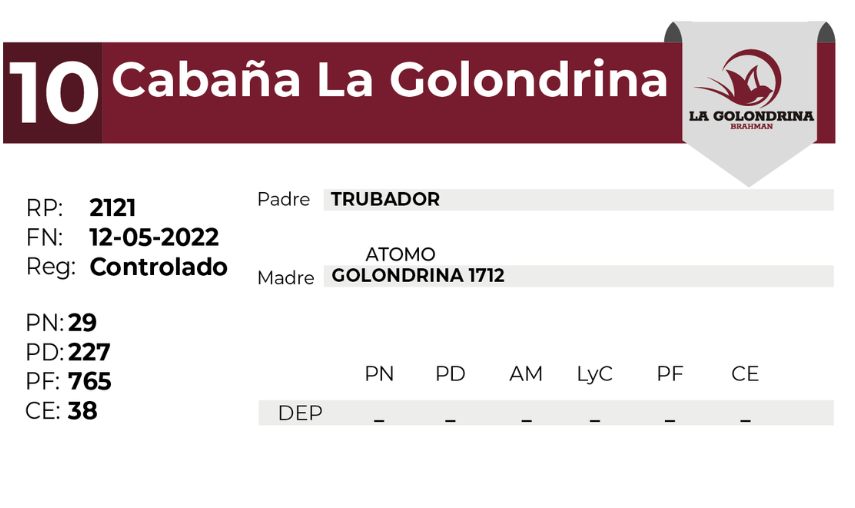 10 LA GOLONDRINA 2121 - 27 AGOSTO LAS BREÑAS