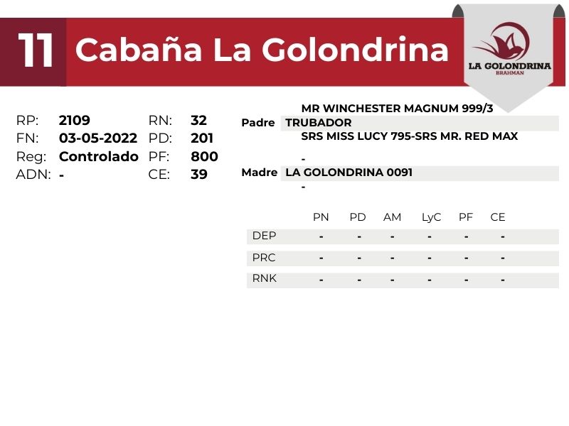 11 LA GOLONDRINA 2109