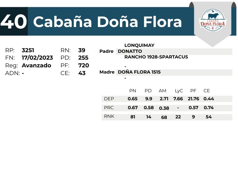 40 DOÑA FLORA 3251