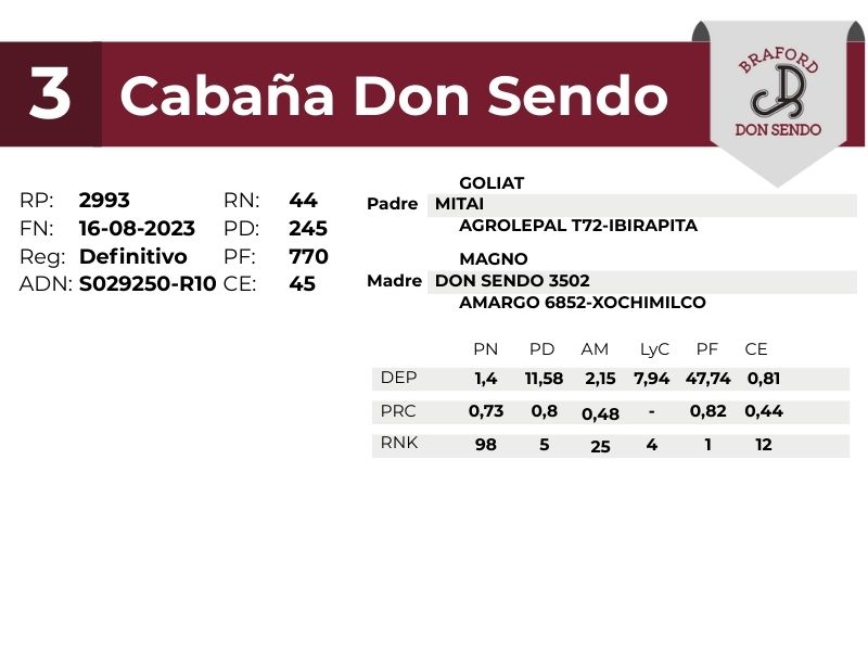 3 DON SENDO 2993