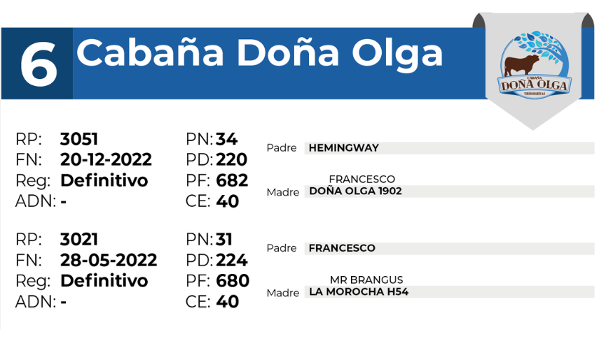6 DOÑA OLGA 3051 3021 - 27 AGOSTO LAS BREÑAS