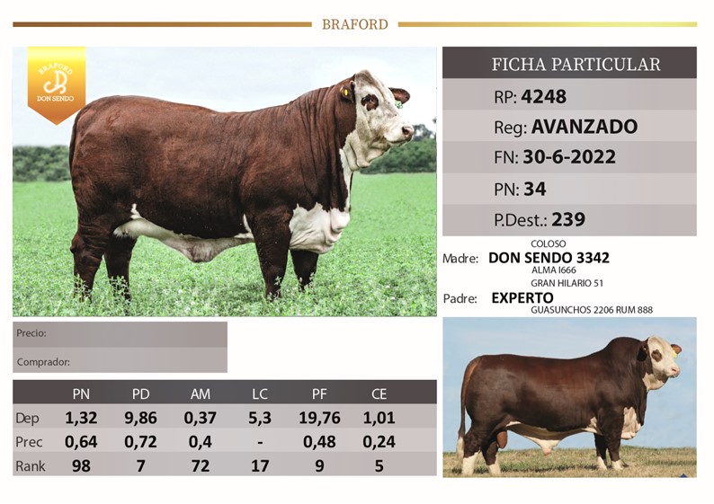 RP4248 DON SENDO LA TIGRA
