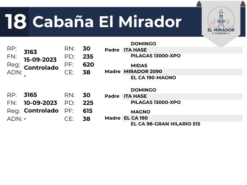 18 EL MIRADOR 3165 3163 - 9 SEPTIEMBRE FORMOSA