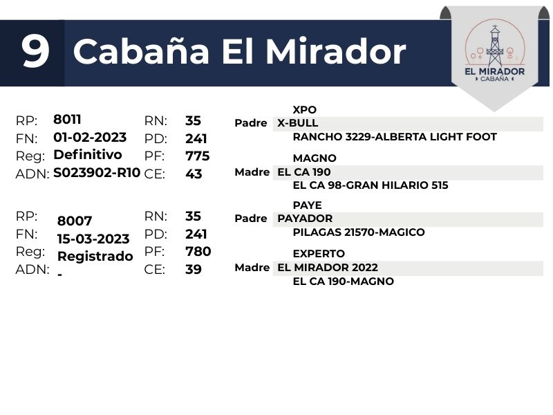 9 EL MIRADOR 8011 8007