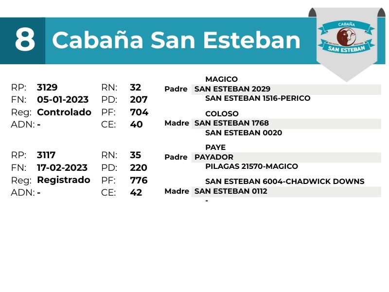 8 SAN ESTEBAN 3129 3117