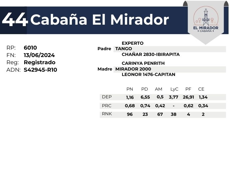 44 EL MIRADOR 6010