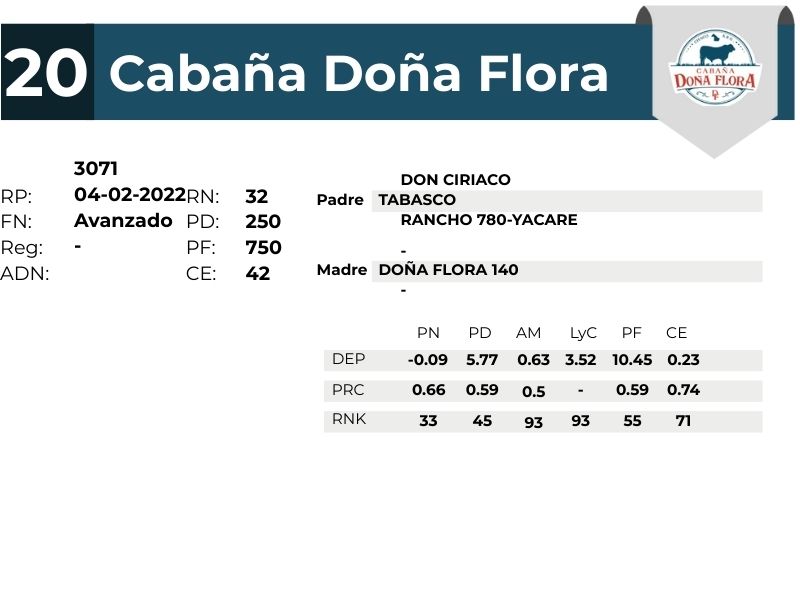 20 DOÑA FLORA 3071 - 9 SEPTIEMBRE FORMOSA