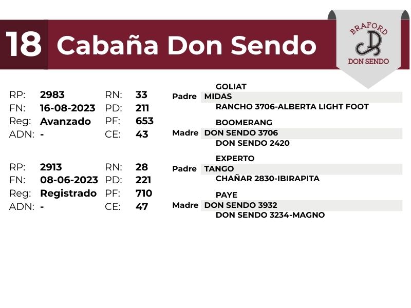 18 DON SENDO 2983 2913