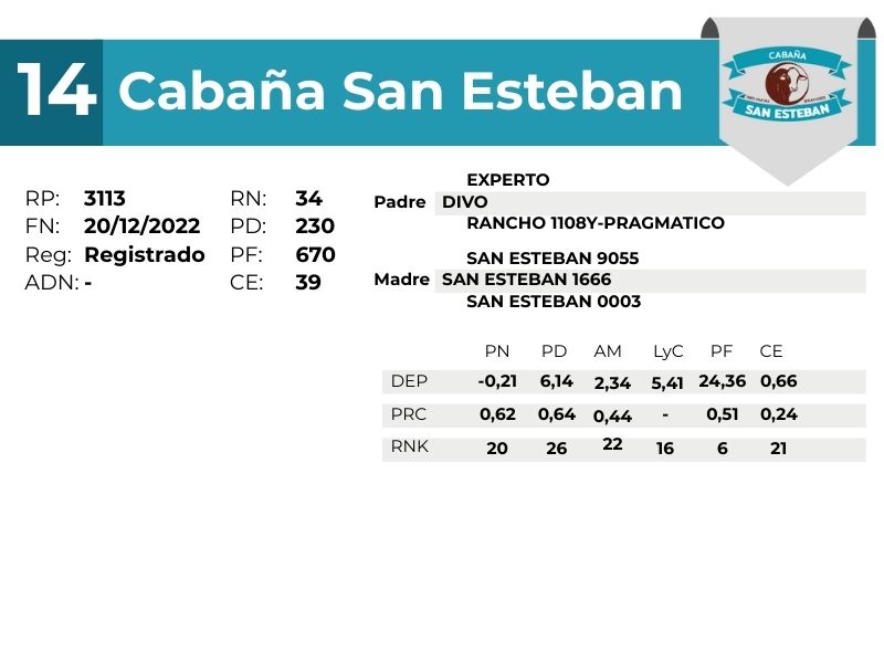 14 SAN ESTEBAN 3113