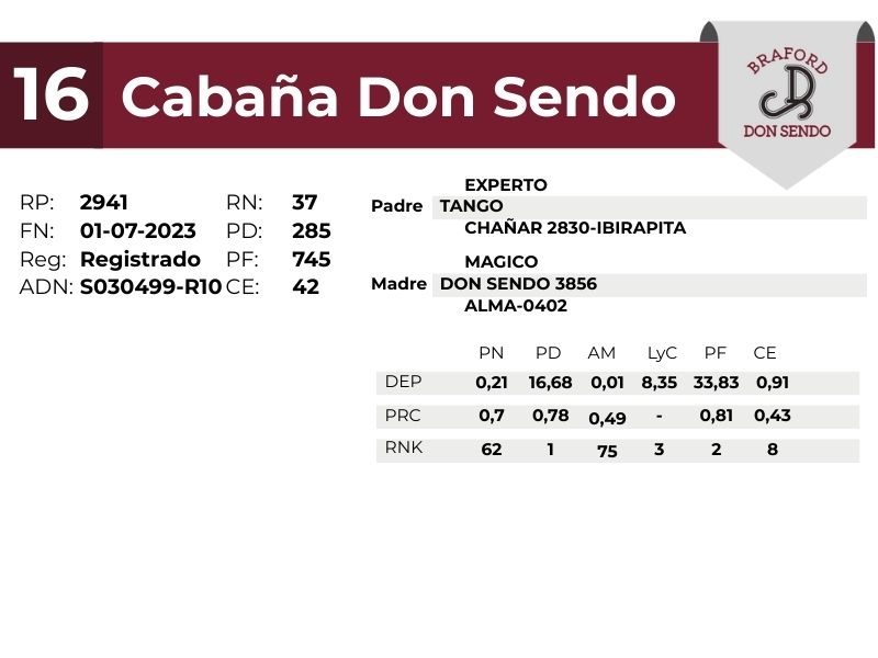 16 DON SENDO 2941