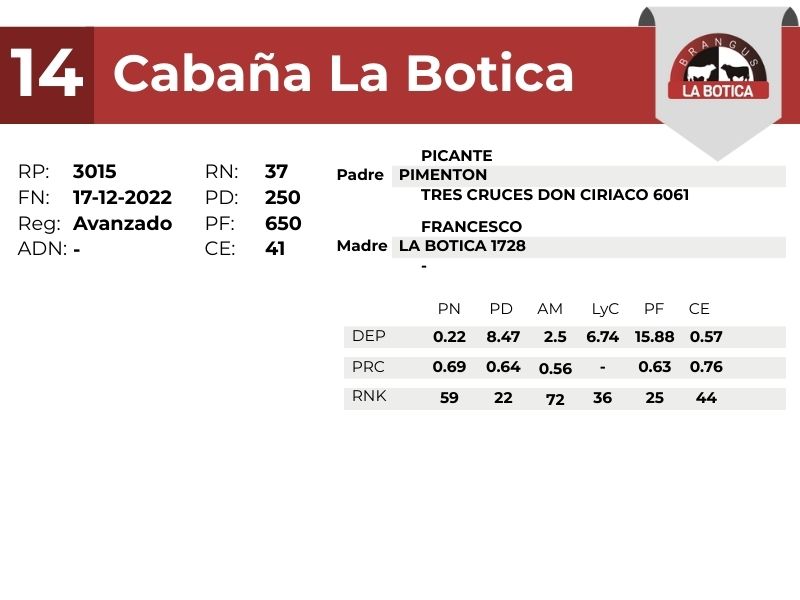 14 LA BOTICA 3015 - 9 SEPTIEMBRE FORMOSA
