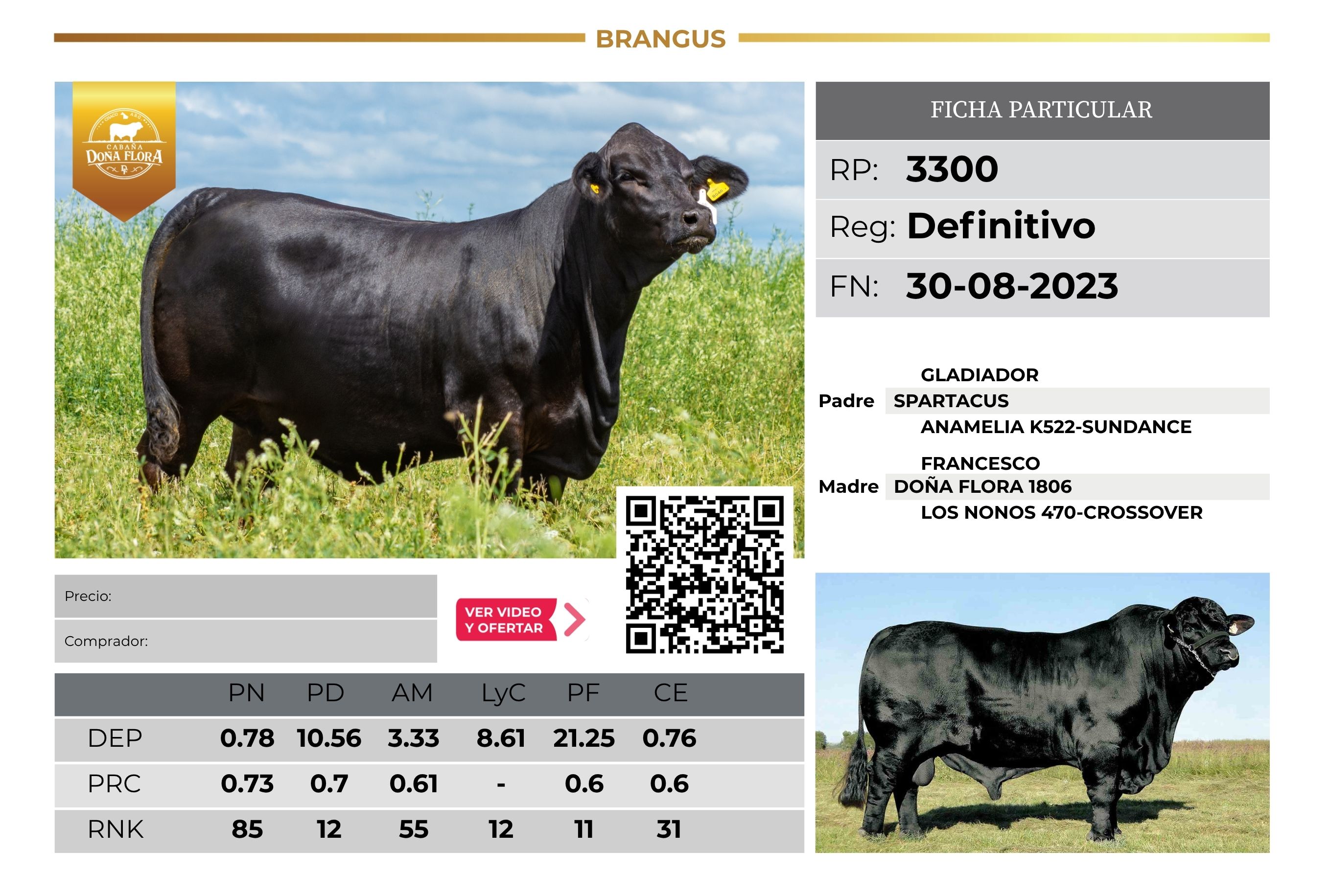 DOÑA FLORA 3300 - TRES ISLETAS