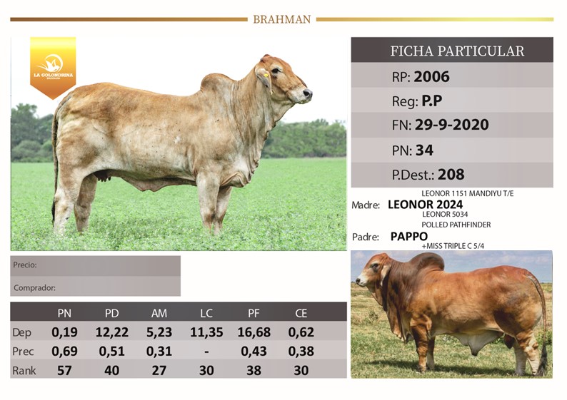 RP 2006 LA GOLONDRINA LA TIGRA