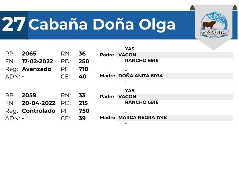 27 DOÑA OLGA 2065 2059 - 9 SEPTIEMBRE FORMOSA