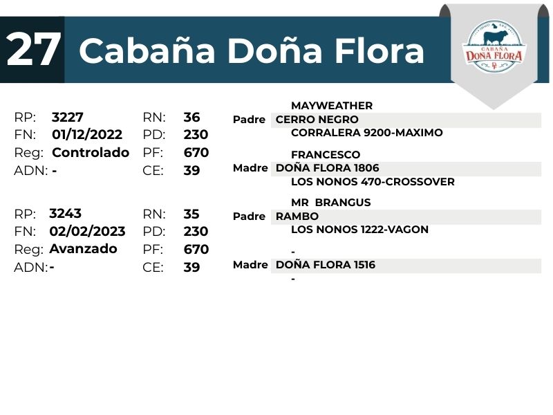 27 DOÑA FLORA 3227 3243