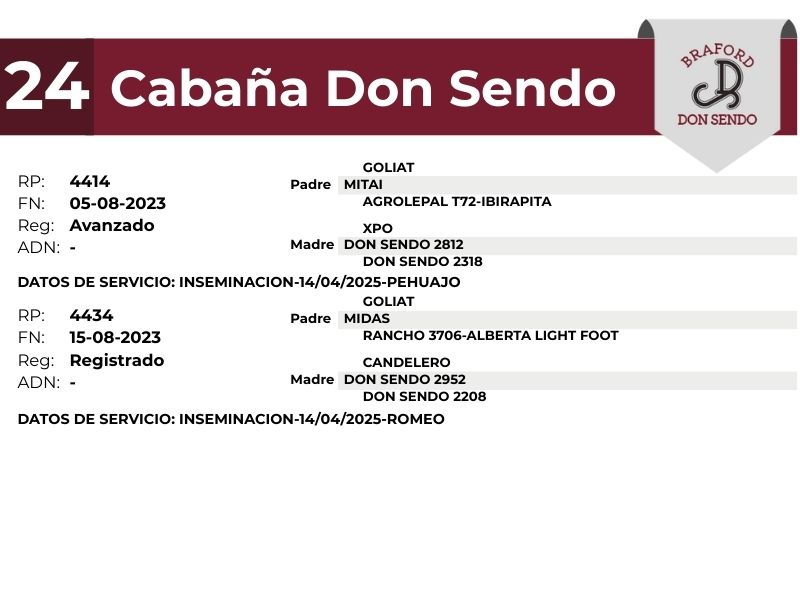 24 DON SENDO 4414 4434