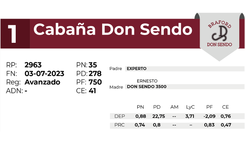 1 DON SENDO 2963 - 27 AGOSTO LAS BREÑAS