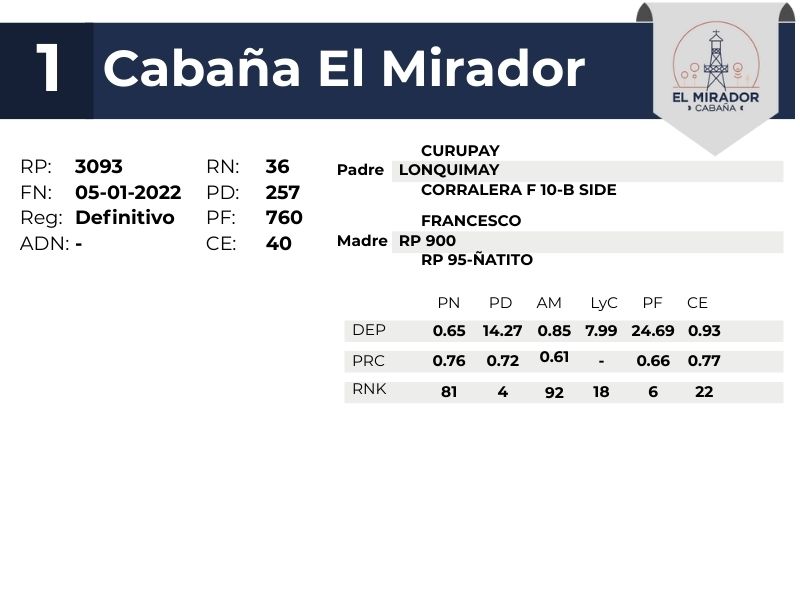 1 EL MIRADOR 3093 - 9 SEPTIEMBRE FORMOSA