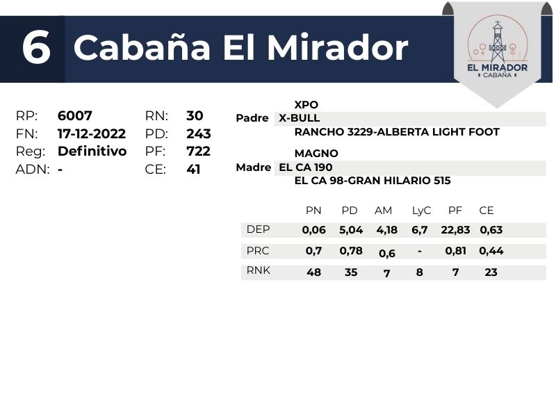 6  EL MIRADOR 6007