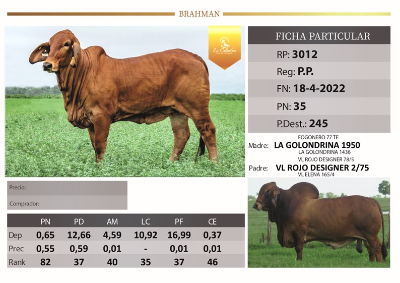 RP 3012 LA CALANDRIA LA TIGRA