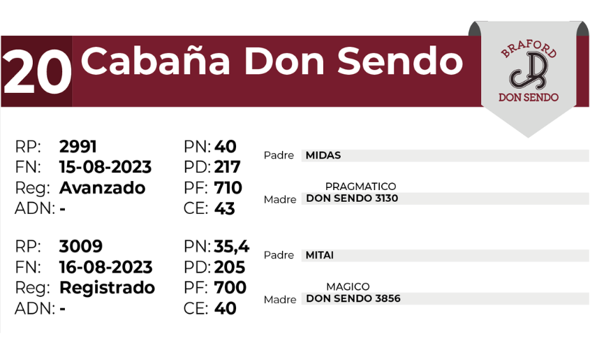20 DON SENDO 2991 3009 - 27 AGOSTO LAS BREÑAS