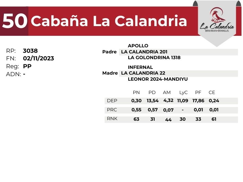 50 LA CALANDRIA 3038