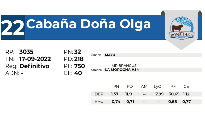 22 DOÑA OLGA 3035 - 27 AGOSTO LAS BREÑAS