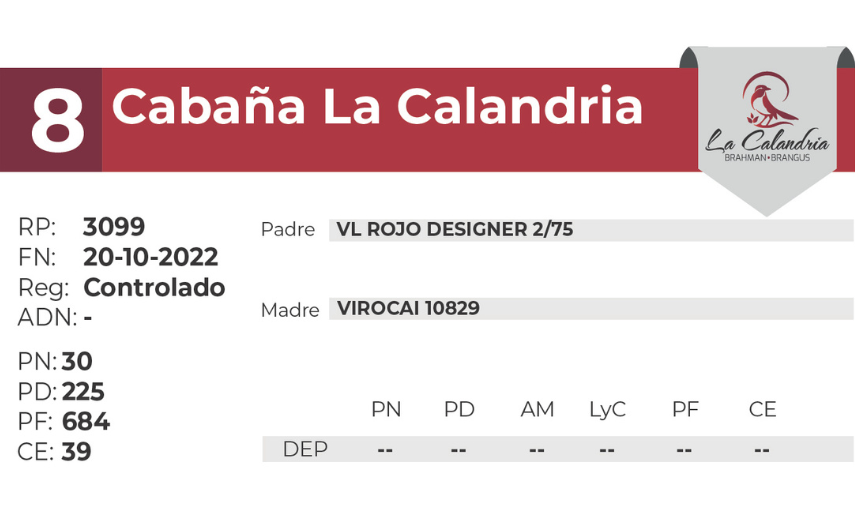 8 LA CALANDRIA 3099 - 27 AGOSTO LAS BREÑAS