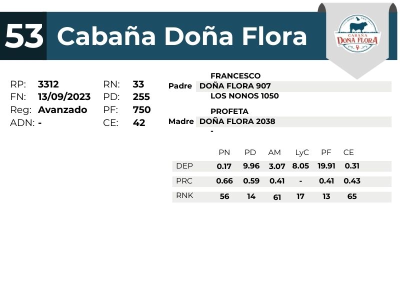 53 DOÑA FLORA 3312