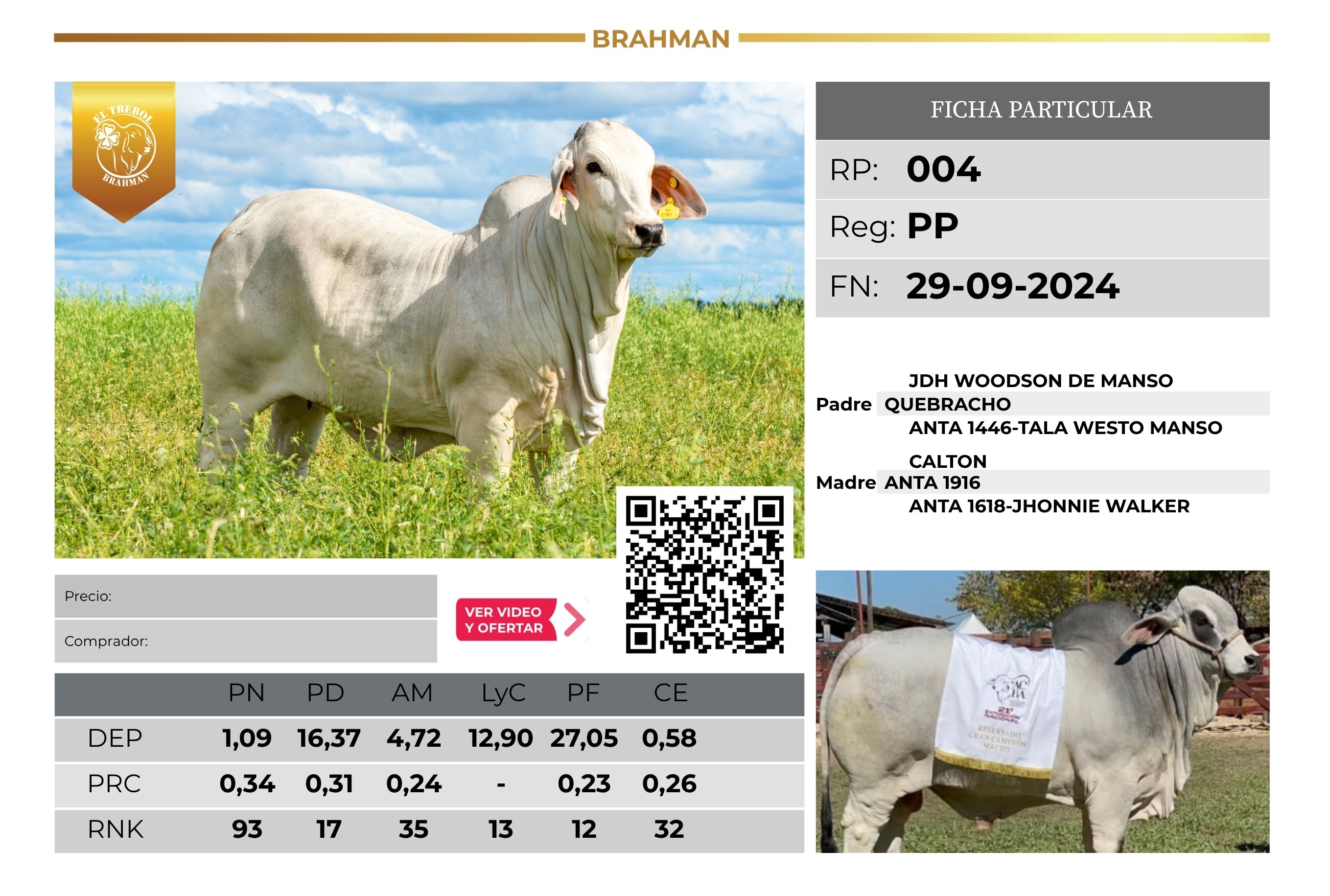 EL TREBOL 004 - ELITE TRES ISLETAS