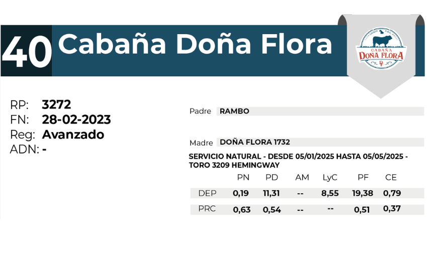 40 DOÑA FLORA 3272 - 27 AGOSTO LAS BREÑAS