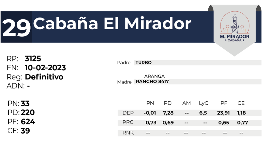29 EL MIRADOR BRANGUS 3125 - 27 AGOSTO LAS BREÑAS