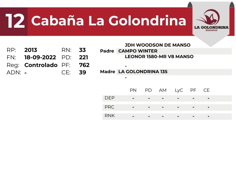 12 LA GOLONDRINA 2013