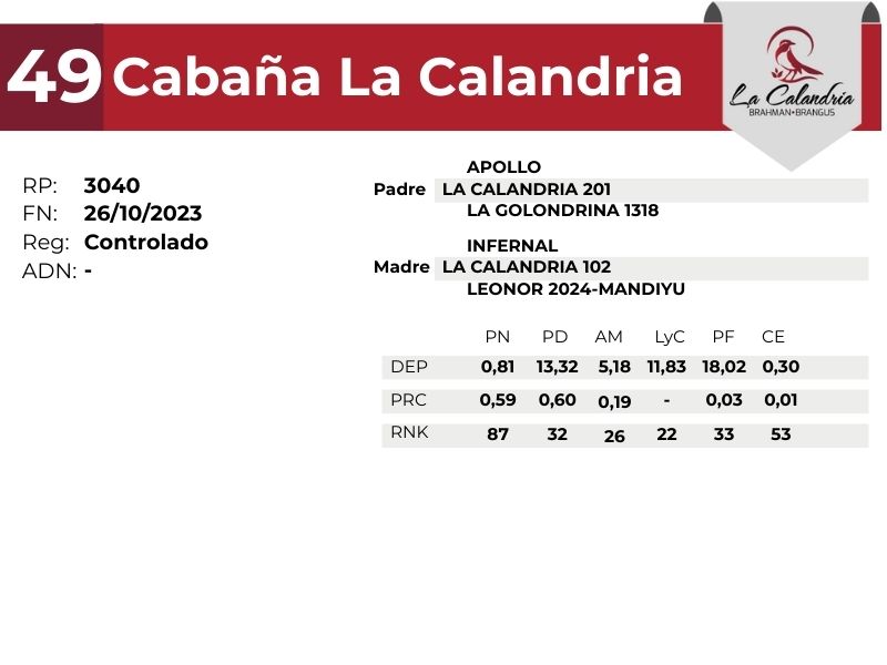 49 LA CALANDRIA 3040