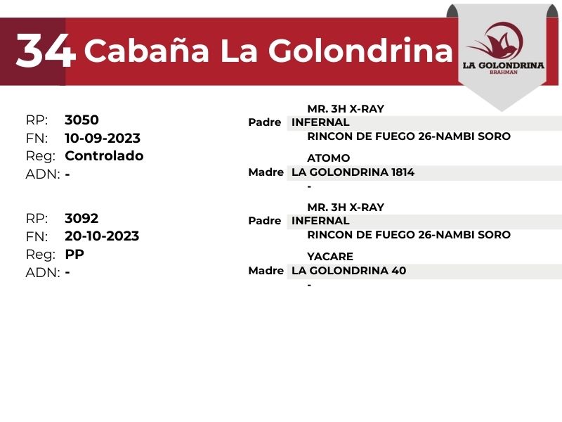 34 LA GOLONDRINA 3050 3092 - 9 SEPTIEMBRE FORMOSA