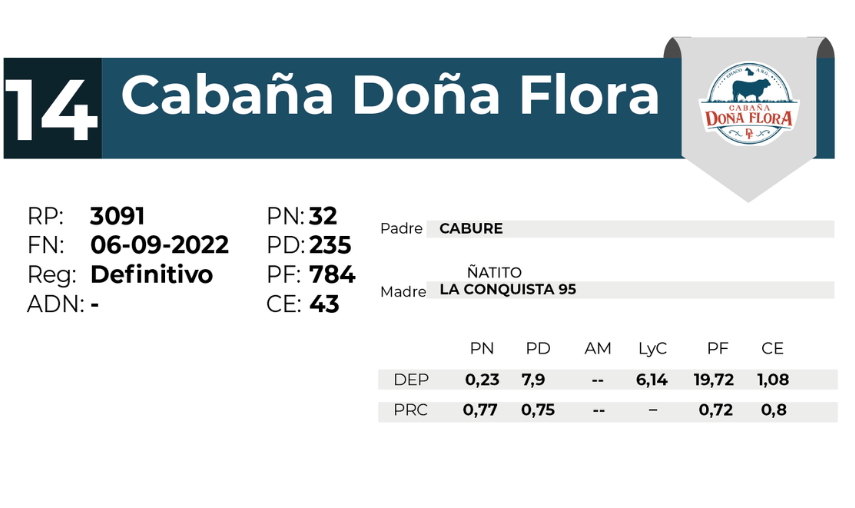 14 DOÑA FLORA 3091 - 27 AGOSTO LAS BREÑAS