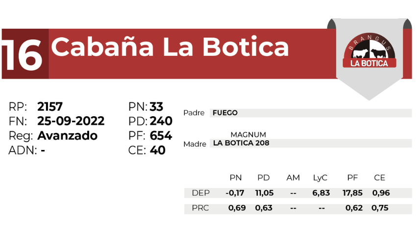16 LA BOTICA 2157 - 27 AGOSTO LAS BREÑAS