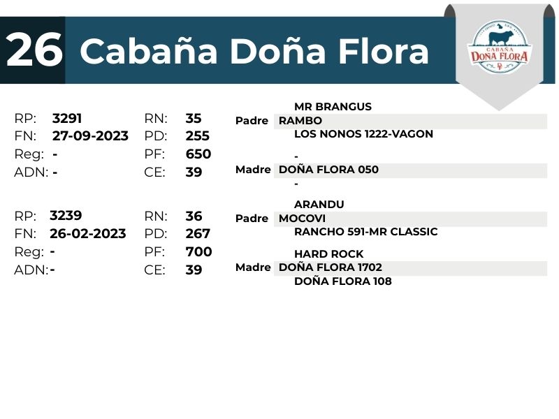 26 DOÑA FLORA 3239 3291 - 9 SEPTIEMBRE FORMOSA