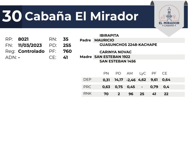 30 EL MIRADOR 8021