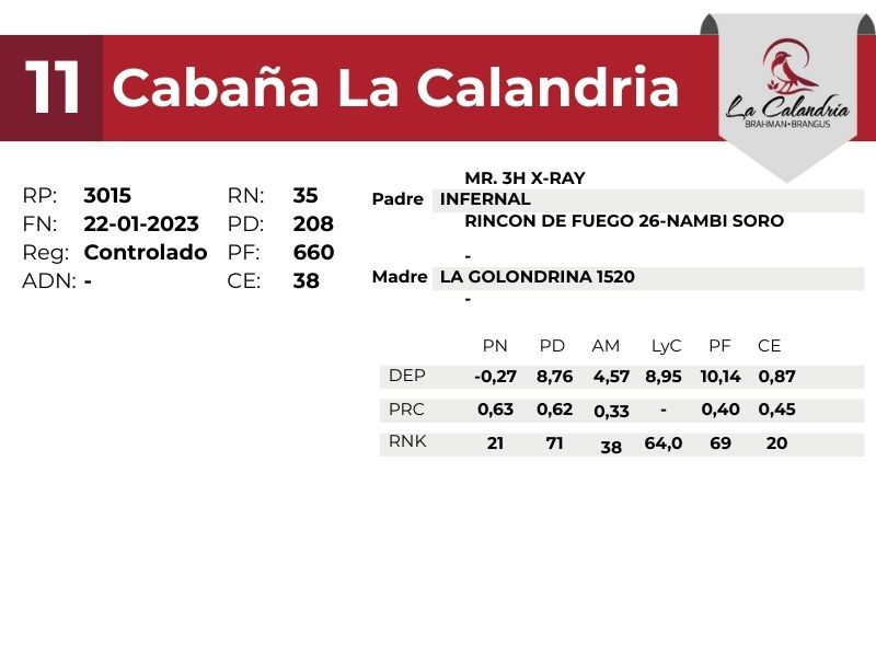 11 LA CALANDRIA 3015 - 9 SEPTIEMBRE FORMOSA