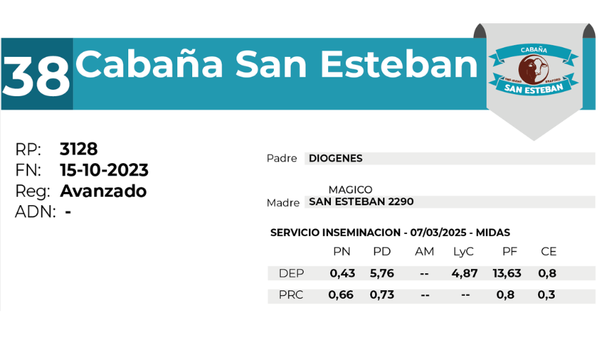 38 SAN ESTEBAN 3128 - 27 AGOSTO LAS BREÑAS