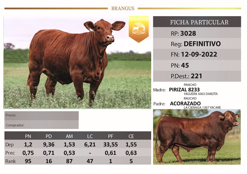RP3028 DOÑA OLGA LA TIGRA