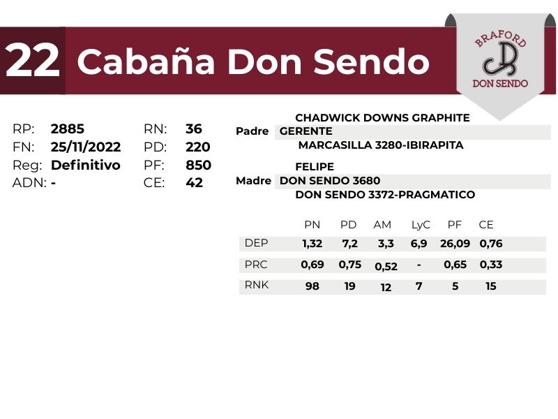 22 DON SENDO 2885